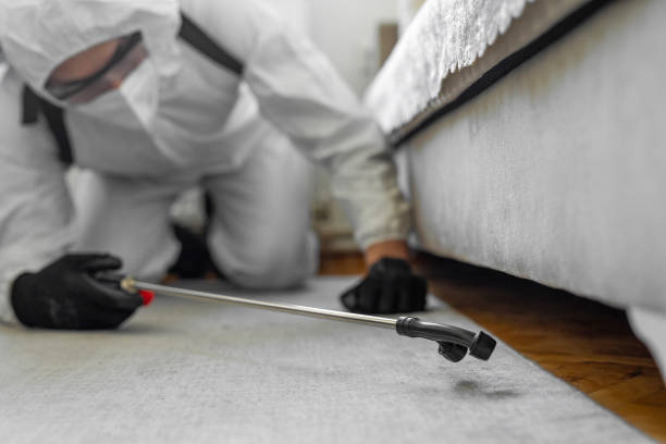 Professional Bed Bug Control technician working in Garfield Heights, OH