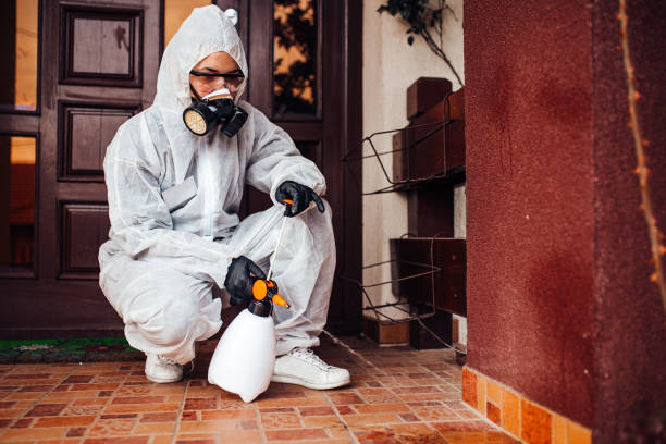 Reliable Bed Bug Control contractor in Garfield Heights, OH by Nex Pest Control