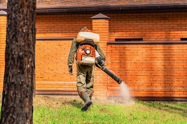 Trusted Cockroach Control service in Garfield Heights, OH - Nex Pest Control